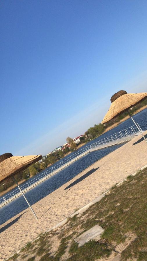 Camping Oaza Blonie Kornik Domki Standard - 3 Pokoje ภายนอก รูปภาพ